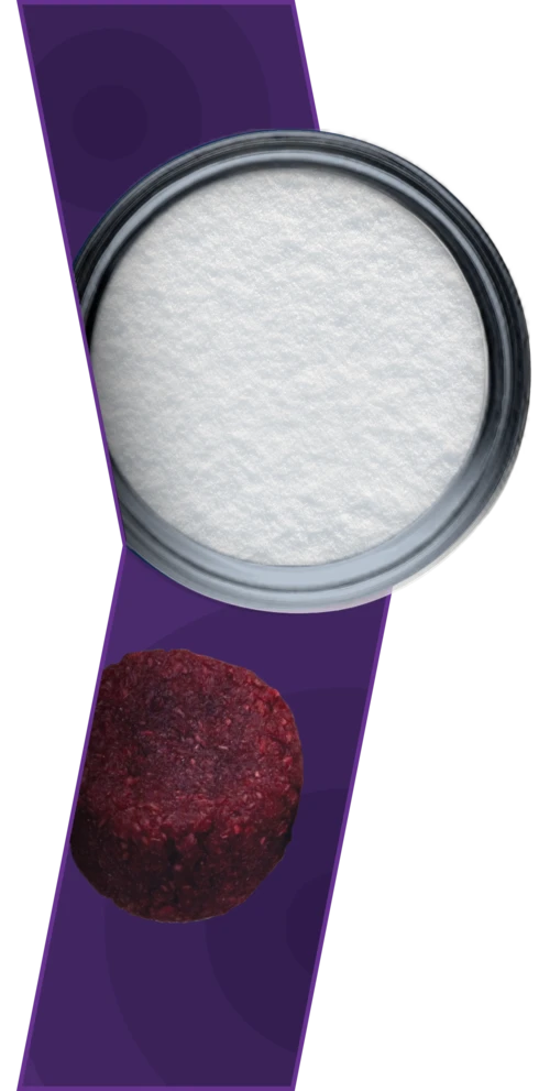 ACTIGEN™ Verified Inductive Bone Matrix