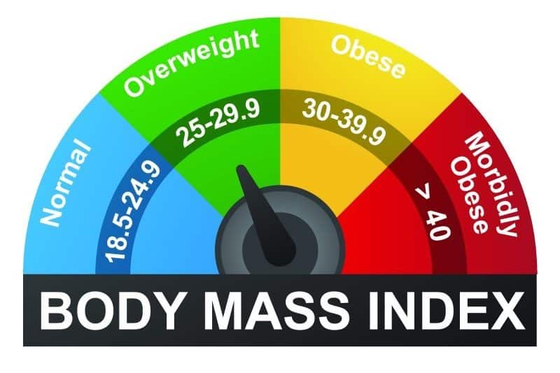 obesity scale