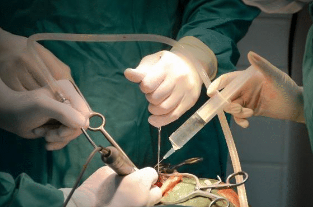 irrigation solutions